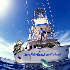 Here fishy,fishy-come to papa!