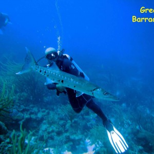 Duane Wreck, Key Largo, FL