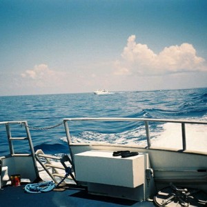 Stetson Bank Texas Flower Gradens Gulf of Mexic0 8/05