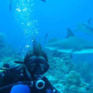 Reef Shark with me