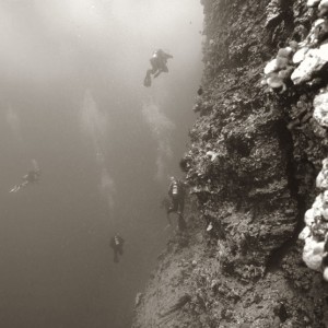 Back Wall - Molokini