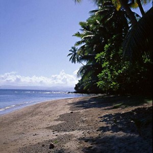 Fiji beach