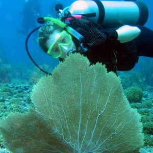 Ronda and a sea fan