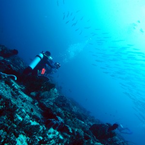 iman w baracuda at sangalaki