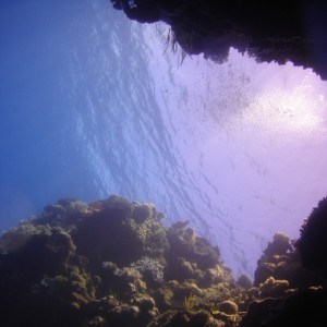 Great barrier reef