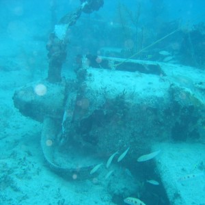 Plane Wreck, Bahamas