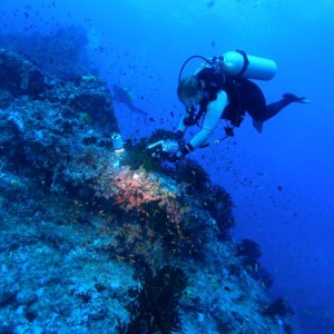 Baani Explorer Maldives 2005