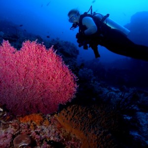 Baani Explorer Maldives 2005