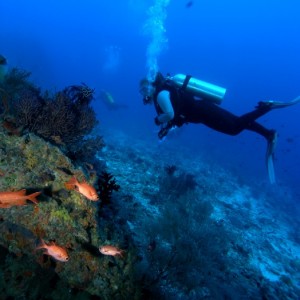 Baani Explorer Maldives 2005