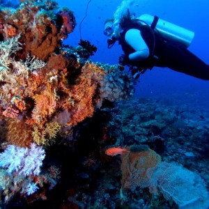 Baani Explorer Maldives 2005