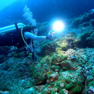 Baani Explorer Maldives 2005