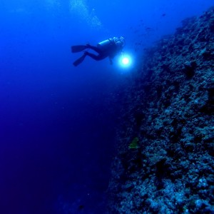 Baani Explorer Maldives 2005