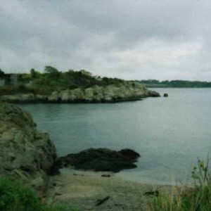 Left Cove and Bull Point