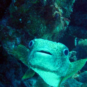 Bonaire 2005