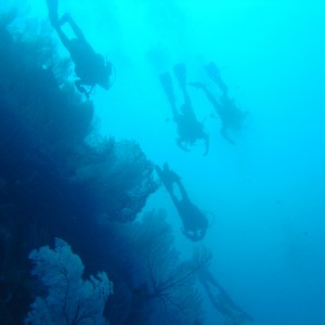 Divers Overhead