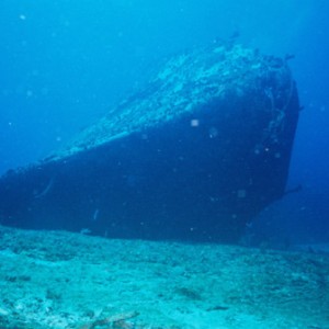 Wreck Dive/Cancun