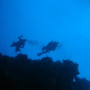 Divers On the Wall