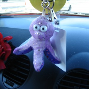 My Octo in my car :-)