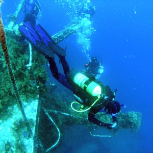 Swan wreck Dunsborough West Oz