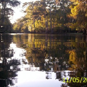 Manatee Springs 01