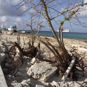 Cozumel