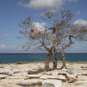 Cozumel