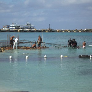 Cozumel