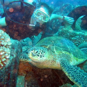 Dad & Turtle