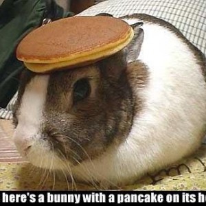 bunny-with-pancake1
