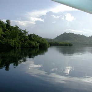 Morning in Florida Islands