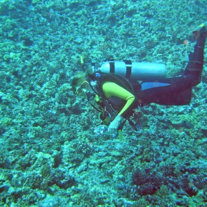 Deb diving Molokini back wall