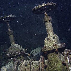 Vortex Springs night dive