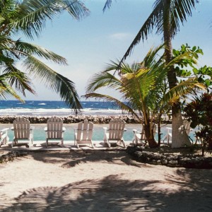 Reef House Resort - View of Pool