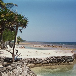 Coastline south of Reef House Resort