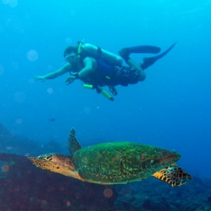 Nathan with Turtle