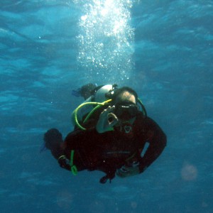 diving in Sharm elshikh