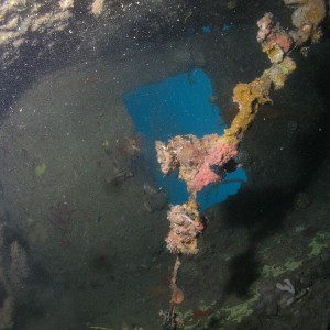 CORON WRECKS