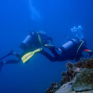 Diving in NhaTrang