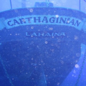 The Carthaginian