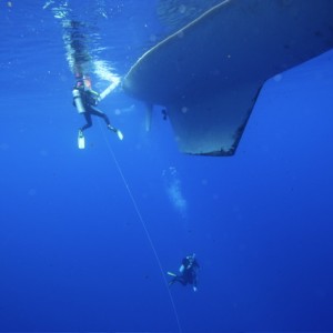 Micronesia