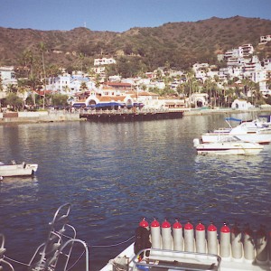 Avalon Harbor, Santa Catalina Island, So. Calif.