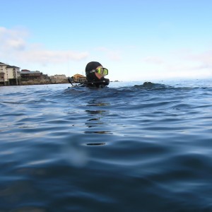 Mark - First dive of the day