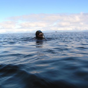 Steve - First dive of the day