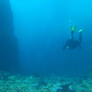Flying Manta dive site, near Speyside, Tobago