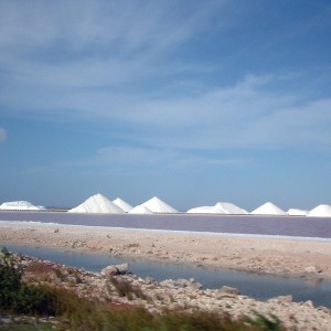 Bonaire Salt