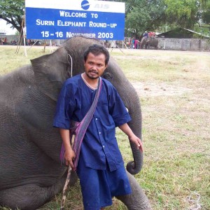 Elephant Round-Up