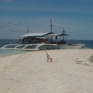 Banca and island dog, near Bohol