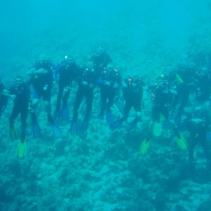 Red_Sea_2006_032