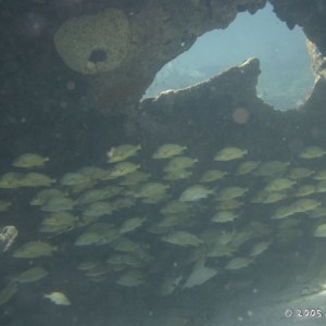 School on the Wreck of the Hesperus