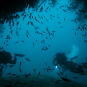 2nd_Place_Int_Wide_Deep_Throat_Divers_1